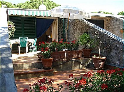 Studios, Pino mono, BN69677