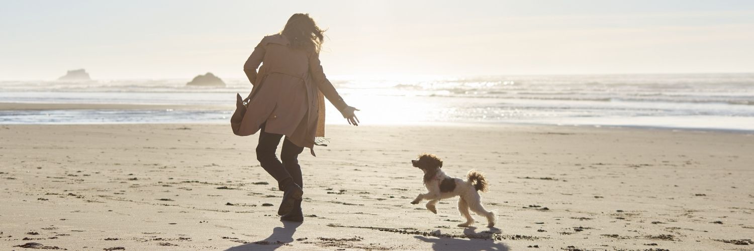 De beste hondenstranden in Nederland